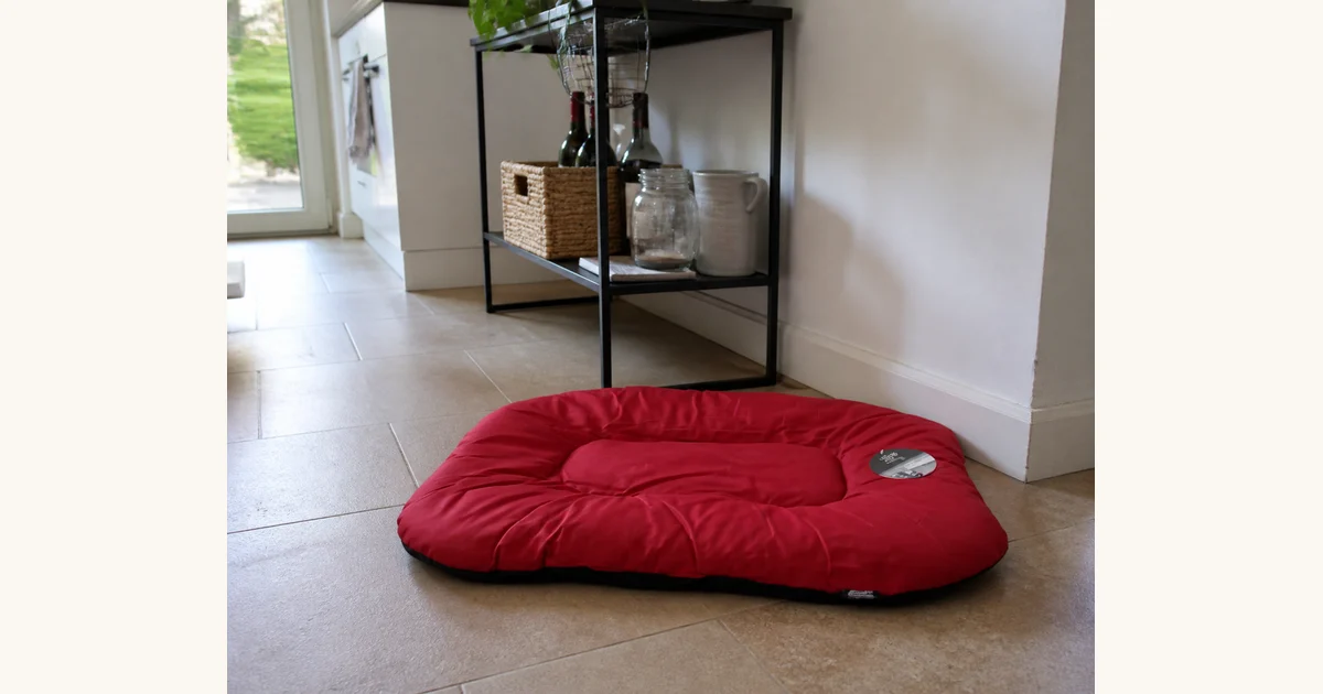 Hundebett Love Story Animal: Waschbarer Ruheplatz für 19 Euro, Hero-Bild zum Magazinbeitrag aus der Rubrik Alltag